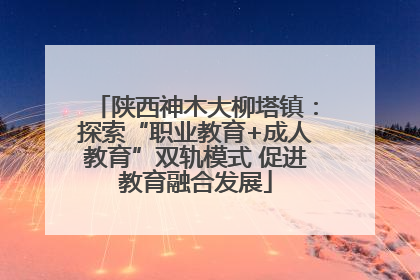 陕西神木大柳塔镇：探索“职业教育+成人教育”双轨模式 促进教育融合发展