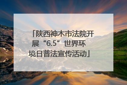 陕西神木市法院开展“6.5”世界环境日普法宣传活动