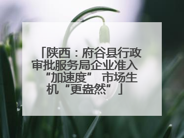 陕西：府谷县行政审批服务局企业准入“加速度” 市场生机“更盎然”