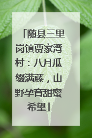 随县三里岗镇贾家湾村：八月瓜缀满藤，山野孕育甜蜜希望