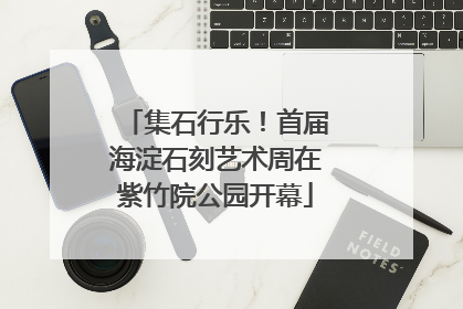 集石行乐！首届海淀石刻艺术周在紫竹院公园开幕