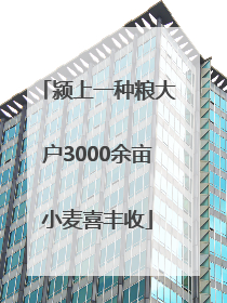 颍上一种粮大户3000余亩小麦喜丰收