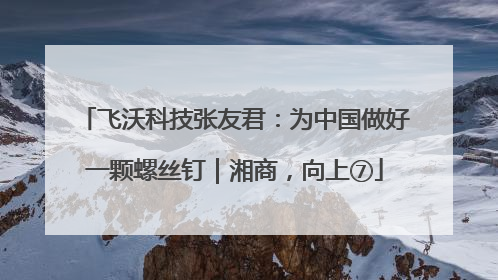 飞沃科技张友君：为中国做好一颗螺丝钉｜湘商，向上⑦
