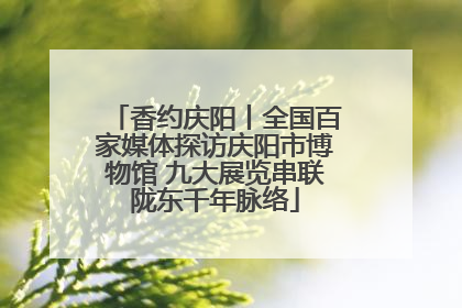 香约庆阳丨全国百家媒体探访庆阳市博物馆 九大展览串联陇东千年脉络
