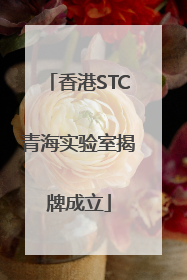 香港STC青海实验室揭牌成立