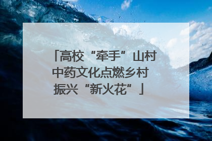 高校“牵手”山村 中药文化点燃乡村振兴“新火花”