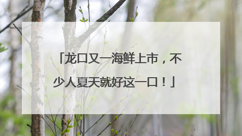 龙口又一海鲜上市，不少人夏天就好这一口！