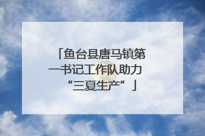 鱼台县唐马镇第一书记工作队助力“三夏生产”
