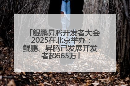 鲲鹏昇腾开发者大会2025在北京举办：鲲鹏、昇腾已发展开发者超665万