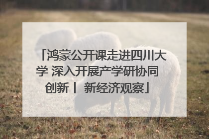 鸿蒙公开课走进四川大学 深入开展产学研协同创新丨 新经济观察