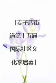 麦子店街道第十五届国际社区文化季启幕