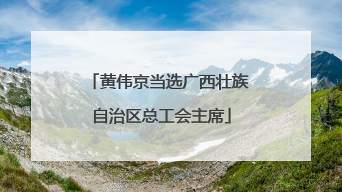 黄伟京当选广西壮族自治区总工会主席