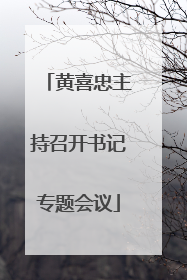 黄喜忠主持召开书记专题会议