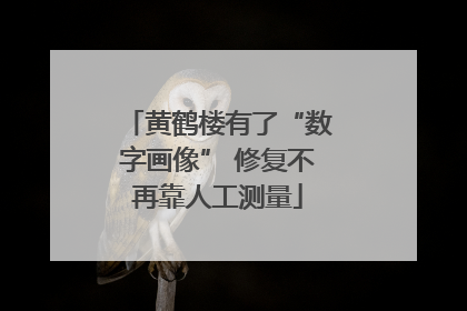 黄鹤楼有了“数字画像” 修复不再靠人工测量
