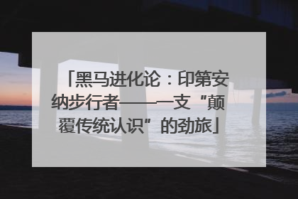 黑马进化论：印第安纳步行者——一支“颠覆传统认识”的劲旅