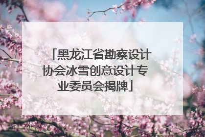 黑龙江省勘察设计协会冰雪创意设计专业委员会揭牌