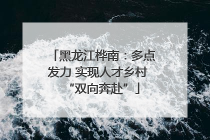 黑龙江桦南：多点发力 实现人才乡村“双向奔赴”