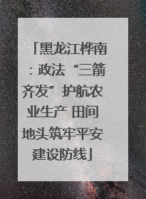 黑龙江桦南：政法“三箭齐发”护航农业生产 田间地头筑牢平安建设防线