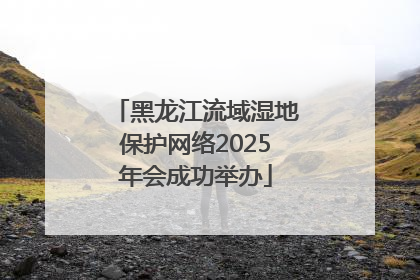 黑龙江流域湿地保护网络2025年会成功举办