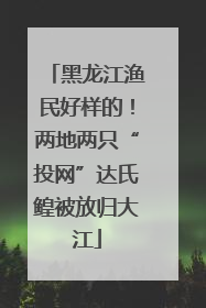 黑龙江渔民好样的！两地两只“投网”达氏鳇被放归大江