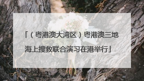 （粤港澳大湾区）粤港澳三地海上搜救联合演习在港举行
