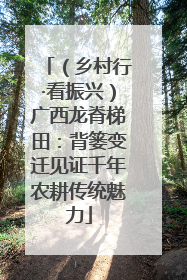 （乡村行·看振兴）广西龙脊梯田：背篓变迁见证千年农耕传统魅力