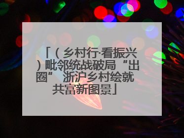 （乡村行·看振兴）毗邻统战破局“出圈” 浙沪乡村绘就共富新图景