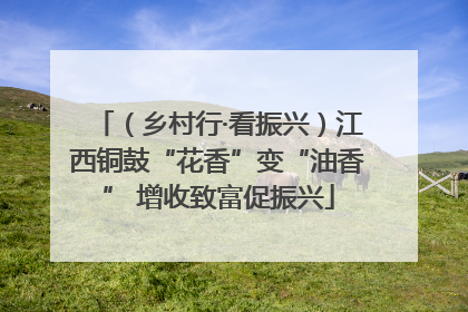 （乡村行·看振兴）江西铜鼓“花香”变“油香” 增收致富促振兴