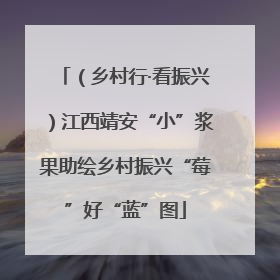 （乡村行·看振兴）江西靖安“小”浆果助绘乡村振兴“莓”好“蓝”图