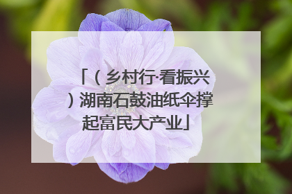 （乡村行·看振兴）湖南石鼓油纸伞撑起富民大产业