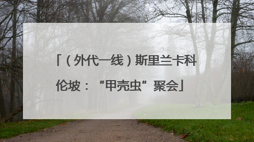 （外代一线）斯里兰卡科伦坡：“甲壳虫”聚会