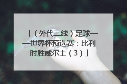 （外代二线）足球——世界杯预选赛：比利时胜威尔士（3）
