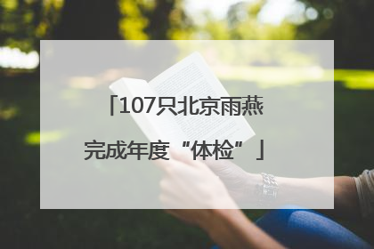 107只北京雨燕完成年度“体检”