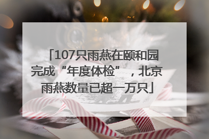 107只雨燕在颐和园完成“年度体检”，北京雨燕数量已超一万只