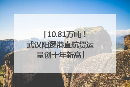 10.81万吨！武汉阳逻港直航货运量创十年新高