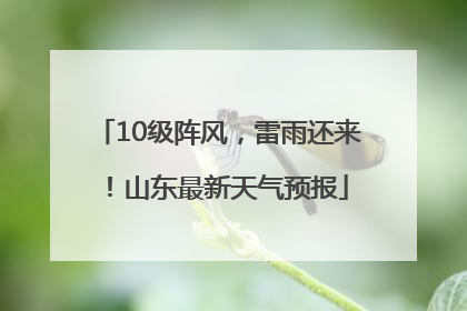 10级阵风，雷雨还来！山东最新天气预报
