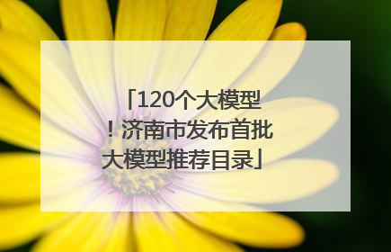 120个大模型！济南市发布首批大模型推荐目录