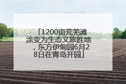 1200亩荒芜滩涂变为生态文旅胜地，东方伊甸园6月28日在青岛开园