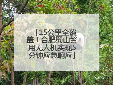 15公里全覆盖！合肥蜀山警用无人机实现5分钟应急响应