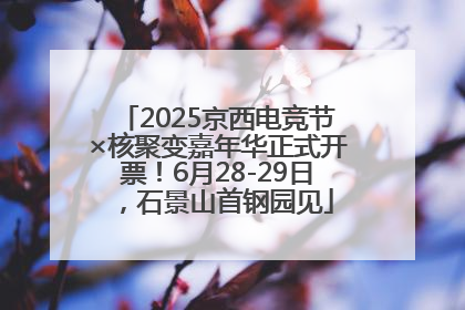 2025京西电竞节×核聚变嘉年华正式开票！6月28-29日，石景山首钢园见