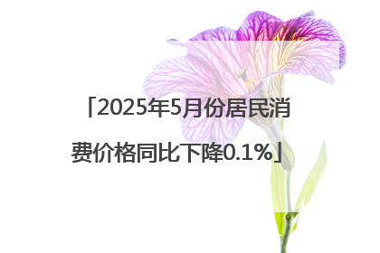 2025年5月份居民消费价格同比下降0.1%