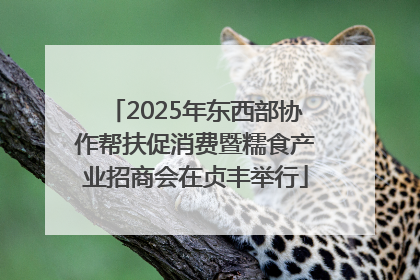 2025年东西部协作帮扶促消费暨糯食产业招商会在贞丰举行