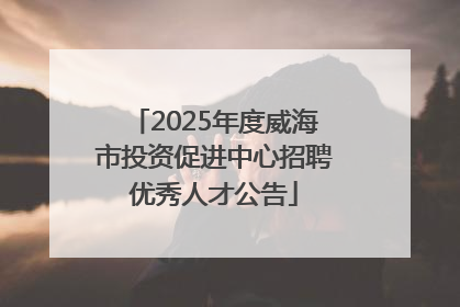 2025年度威海市投资促进中心招聘优秀人才公告