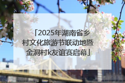 2025年湖南省乡村文化旅游节联动地暨金洞村k友谊赛启幕