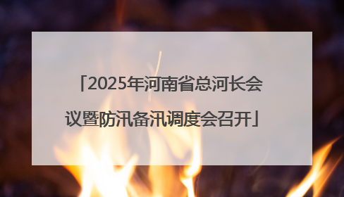 2025年河南省总河长会议暨防汛备汛调度会召开