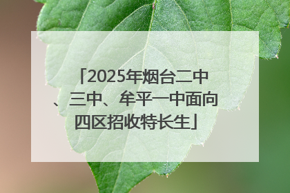 2025年烟台二中、三中、牟平一中面向四区招收特长生