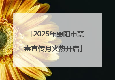2025年襄阳市禁毒宣传月火热开启