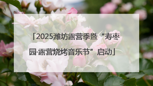 2025潍坊露营季暨“寿枣园·露营烧烤音乐节”启动