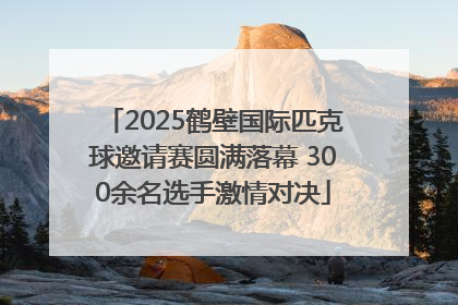 2025鹤壁国际匹克球邀请赛圆满落幕 300余名选手激情对决