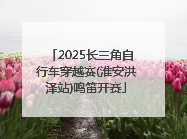 2025长三角自行车穿越赛(淮安洪泽站)鸣笛开赛